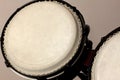 Selective focus bongo drum and blur background. Royalty Free Stock Photo