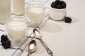 Selective focus of bottles and glasses of homemade yogurt with blackberries on cloth near teaspoons