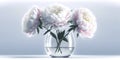 Selective focus on a bouquet of fresh tender white and pink peonies in a glass vase against a pastel white and grey background