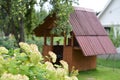 Selective focus on branch of cherry tree. On the background garden small house Royalty Free Stock Photo