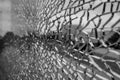 Selective focus, broken crack glass window. Royalty Free Stock Photo