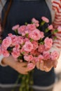 selective focus of bunch of small pink carnation flowers in woman hands. Close-up Royalty Free Stock Photo