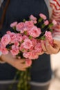 selective focus of bunch of tender pink carnation flowers in woman hands. Close-up Royalty Free Stock Photo