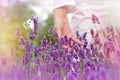 Selective focus on butterfly, white butterfly and woman`s hand on lavender flower Royalty Free Stock Photo
