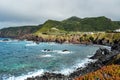 Selective focus in cactus at Mosteiros beach with turquoise water and blurred mountains in the background, SÃÂ£o Miguel - Azores Royalty Free Stock Photo