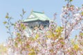 Selective focus of cherry blossom with blurred Osaka castle, Japanese spring beautiful scene in Japan Royalty Free Stock Photo