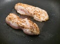 The selective focus of the chicken breast grill seasoned with salt and black pepper Royalty Free Stock Photo