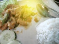 Selective focus of chicken salted egg with white rice. Royalty Free Stock Photo