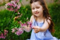 Selective focus. A child holds a pink flower. A little happy girl is playing under a blooming apple tree with a flower. Summer fun Royalty Free Stock Photo