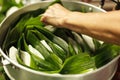 Selective focus Chinese Dessert: Vendor prepares Asian dumpling appetizer wrapped in banana leaves readied to cook in steaming pot