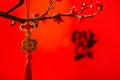 Selective focus of a Chinese talisman hanging on cherry branches against a red background