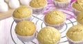 Selective focus. classic homemade muffins are cooled on a wire rack to cool.