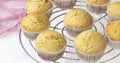 Selective focus. classic homemade muffins are cooled on a wire rack to cool.