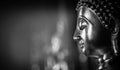 Selective focus close-up shots of of the Buddha images with soft light and layout design for a beautiful religious background.