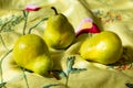 Selective focus closeup of Bartlett pears on raw silk acid-green embroidered throw