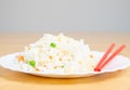 Selective focus closeup of a chopstick on the Chinese fried rice Royalty Free Stock Photo