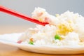 Selective focus closeup of a chopstick on the Chinese fried rice