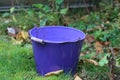 Selective focus closeup of an empty blue bucket on a backyard Royalty Free Stock Photo