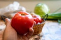 Selective focus closeup of a hand holding a ripe tomato with few more vegetables in the background Royalty Free Stock Photo