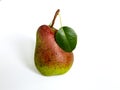 Selective focus closeup of ripe Flemish Beauty pear Royalty Free Stock Photo