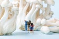 Selective focus closeup of a toy people walking under the mushrooms on a white surface