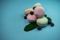 selective focus, colored fruit marshmallow with blueberry berries