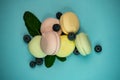 selective focus, colored fruit marshmallow with blueberry berries