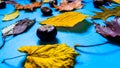 Selective focus of colorful autumn leaves and chestnuts. Yellow red and orange leaves and brown chestnuts lying on vivid blue