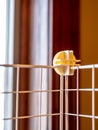 Selective focus on a connecting block on a modular wire cage shelving system