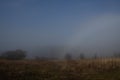 Selective focus of a creepy and foggy field with trees- great for wallpapers