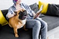 Focus of cute bulldog sitting on sofa with girl reading book Royalty Free Stock Photo