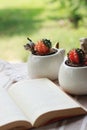 Cute potted moon cactus on the table with a book