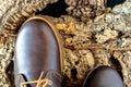 Selective focus of a detail of the toe of a brown leather hiking boot on tree bark Royalty Free Stock Photo