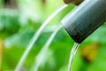 Selective focus on dirty rain gutter on blurred green leaves of plant beside home in rural of Thailand. Rainwater flowing from Royalty Free Stock Photo