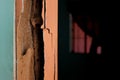 Selective focus of door wooden beam frame damaged by termites with black copy space. Abandoned deteriorating house concept. Royalty Free Stock Photo