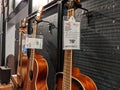 Lynnwood, WA USA - circa May 2022: Selective focus on electric and acoustic bass guitars for sale inside a Guitar Center musical Royalty Free Stock Photo