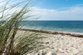 Selective focus of an empty beach and calm ocean with grasses in the foreground Royalty Free Stock Photo