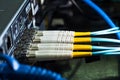 Selective focus fiber optic cables are plugged into the back panal of the server Royalty Free Stock Photo