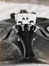 In selective focus of Fine Tuner on Tailpiece,in front of blurred bridge and strings,part of violin,black and white tone Royalty Free Stock Photo