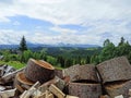Selective focus firewood lies in background of mountain village in Carpathian forest. Countryside in Carpathians. Sawn wood is