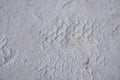 In Selective focus footprint wheels on sand ground floor in outdoor space for background backdrop Royalty Free Stock Photo