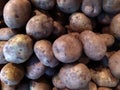 Selective focus of fresh raw organic potatoes on market stall, The potato is a starchy tuber of the plant Solanum tuberosum and is Royalty Free Stock Photo