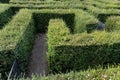 selective focus on the general view of a green plant maze