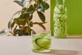 Selective focus of glass and bottle filled with water and sliced cucumbers and plant