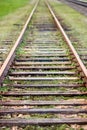Selective focus on going straight railway abandoned rusty, overgrown with grass and moss. Empty turning single track of Royalty Free Stock Photo