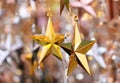 Selective focus gold stars design hanging and decorate in December Christmas festival Royalty Free Stock Photo