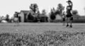 Selective focus on grass with blurred girls softball game in the background Royalty Free Stock Photo