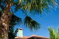 Selective focus green palm leaves over the roof of house with tiles. Palm trees grow in tropical climates. Natural background with Royalty Free Stock Photo