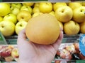 Selective focus of hand holding Chinese pear for sale on market stand in supermarket Royalty Free Stock Photo