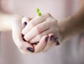 Woman's hands holding young seedling plant in soil for growing. Earth day concept.Planting a young tree seedlings plant Royalty Free Stock Photo